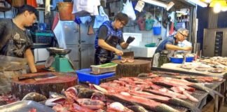 Hong Kong sea foof market