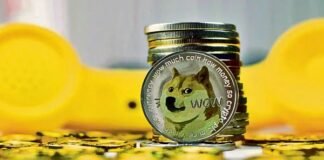 Shiba Inu cryptocurrency