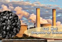 Coal use Most Dangerous for Environment