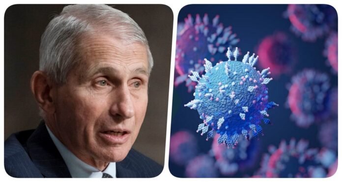 Dr. Anthony Fauci on omicron