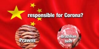 china corona theory