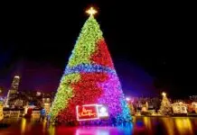 Here’s How Hong Kong Spreads Joy over the Christmas Season HKTBWinterfest2021_76632