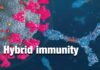 Hybrid immunity