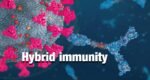 Hybrid immunity