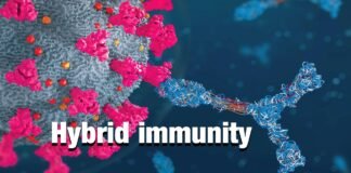 Hybrid immunity