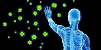Immunity