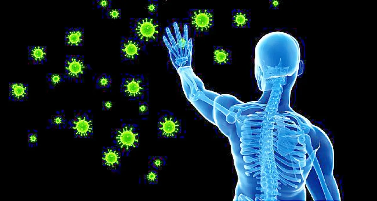 Immunity prepared after corona is infected is effective in fighting Immunity – Study