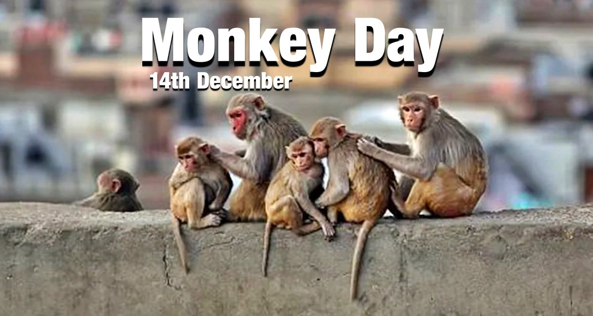 Why is ‘Monkey Day’ celebrated, know how it started