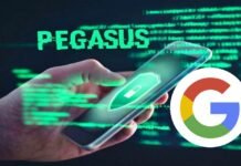 Pegasus-google