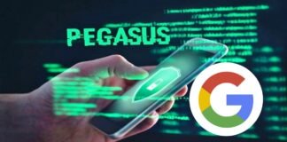 Pegasus-google