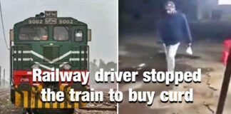 Railway driver stopped the train to buy curd