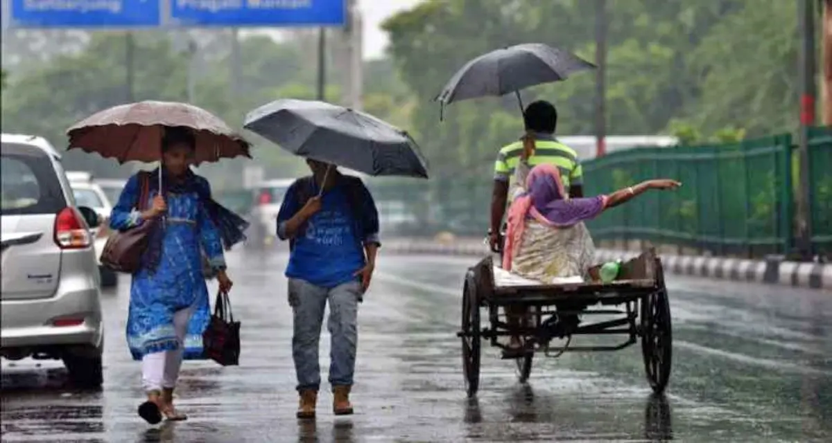 Country received above-normal rainfall this year, month of November was highest drizzle in five years: IMD