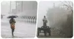 rain-cold