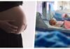 surrogacy