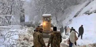 22 people trapped and died in vehicles
