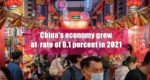 China economy grew