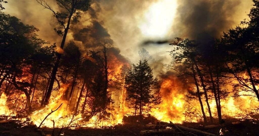 Forest fire in Texas