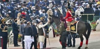 Virat the horse of the Presidential Security Fleet