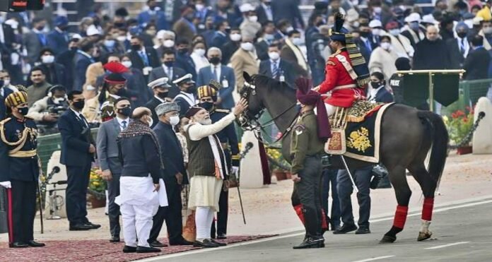 Virat the horse of the Presidential Security Fleet