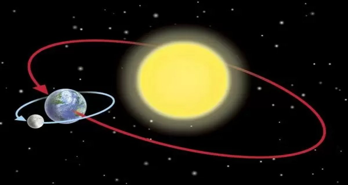 Behavior of organisms is affected by the gravity of the Sun and the Moon – research