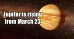 Jupiter is rising from March 23, these zodiac signs will have tremendous benefits in career and business Jupiter