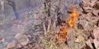 Sariska Tiger Reserve fire