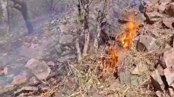 Sariska Tiger Reserve fire