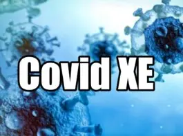Covid XE