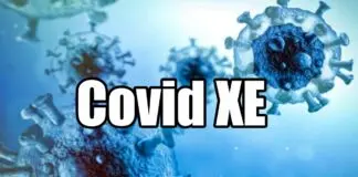 Covid XE