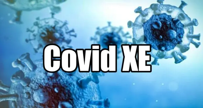 Covid XE Covid XE