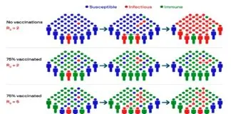 herd immunity
