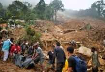 29 killed in landslides and floods in Brazil