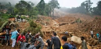 29 killed in landslides and floods in Brazil