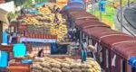wheat export