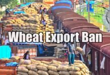 wheat export ban