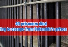 49 prisoners died trying to escape from prison