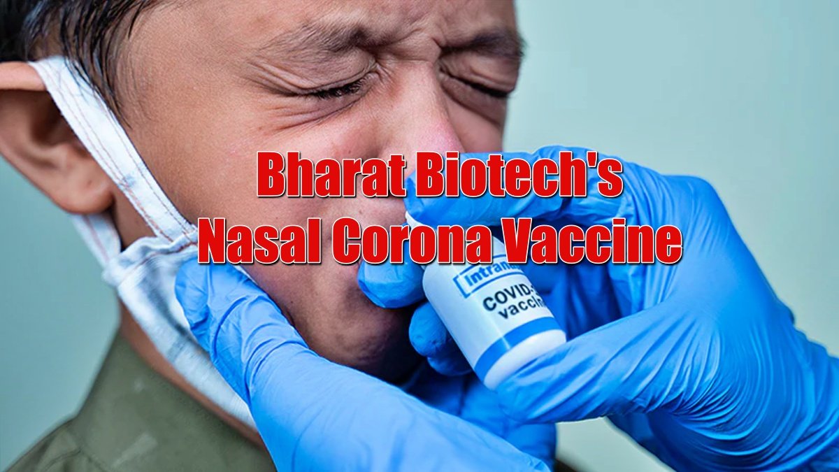 Bharat Biotech’s Nasal Corona Vaccine is ready, will be launched soon