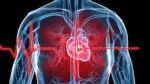 Cells killed by heart attack can now be revived, read study Cells killed by heart attack can now be revived