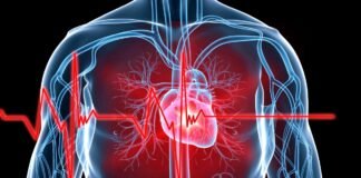 Cells killed by heart attack can now be revived