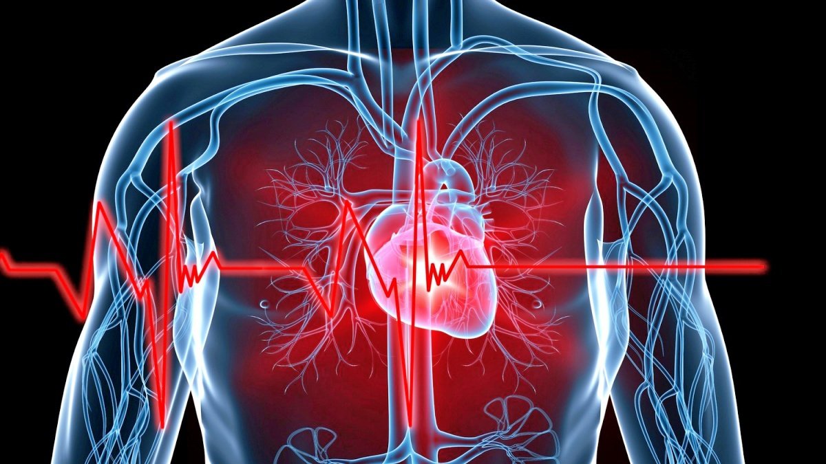 Cells killed by heart attack can now be revived, read study
