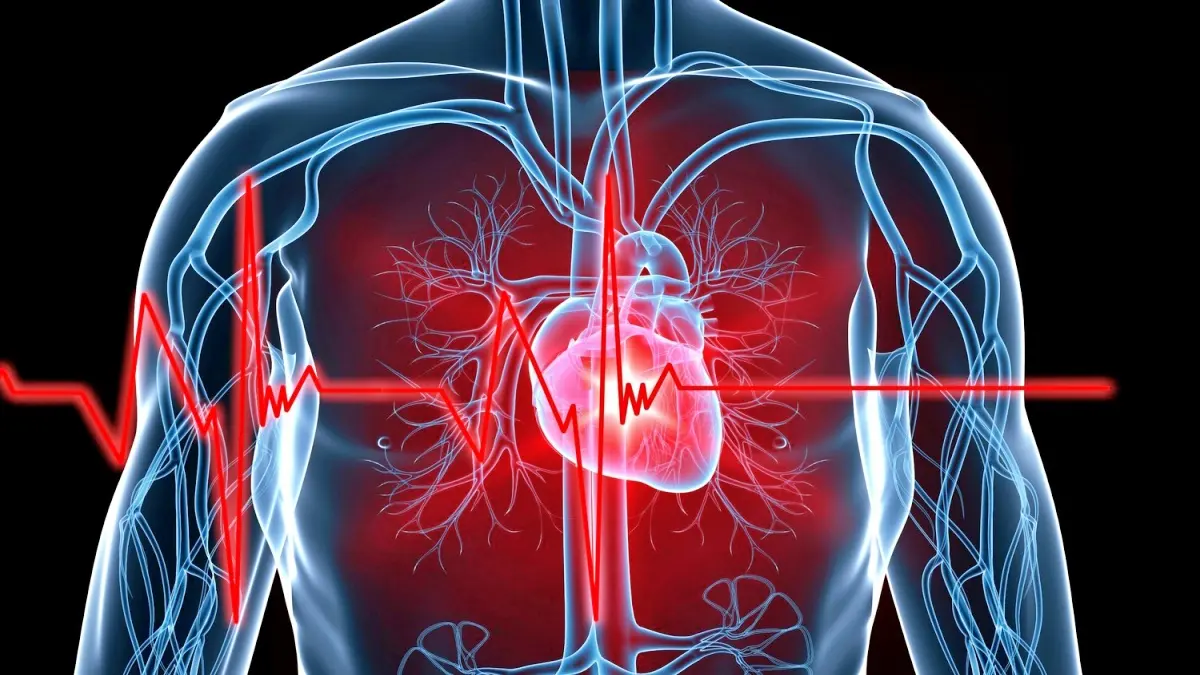 Cells killed by heart attack can now be revived, read study