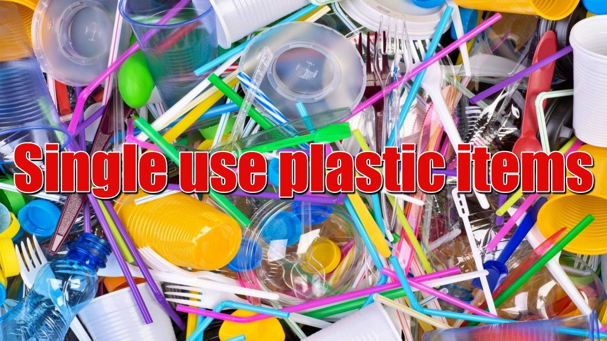 These plastic items will be banned from July 1, if caught, will have to pay fine