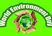 World Environment Day