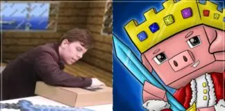 Famous Minecraft YouTuber Technoblade