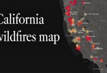 Forest fire in California