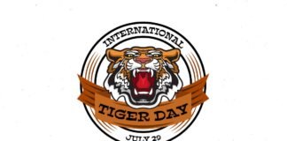 International Tiger Day