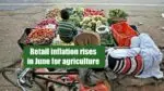 Retail inflation rises in June for agriculture