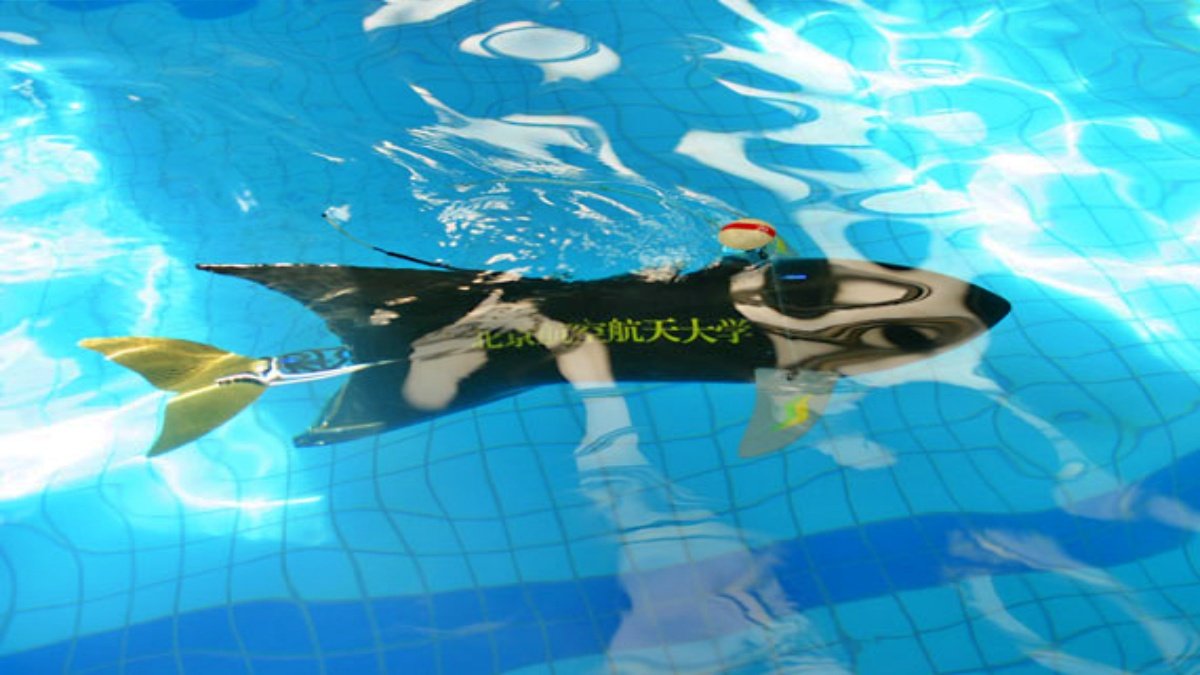 China Created robot fish that will eat microplastic inside sea