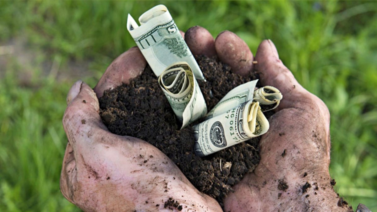 Questions raised in America on subsidy to farmers of India, lawmakers demanded- raise matter in WTO