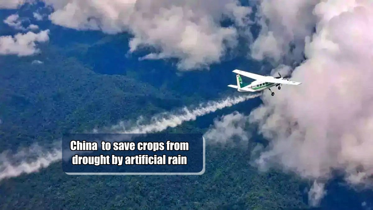 China will try to save crops from severe drought by artificial rain